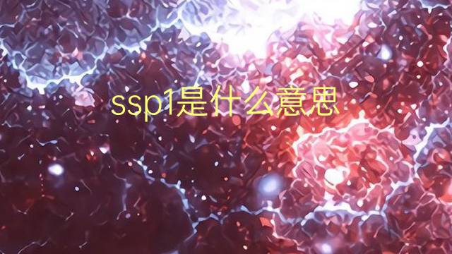 ssp1是什么意思 ssp1的翻译、读音、例句、中文解释