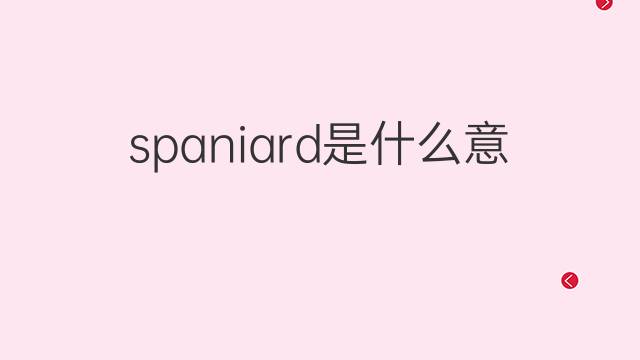 spaniard是什么意思 spaniard的翻译、读音、例句、中文解释