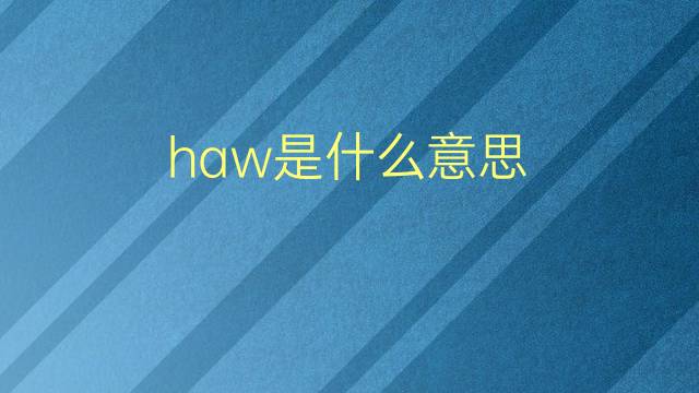 haw是什么意思 haw的翻译、读音、例句、中文解释