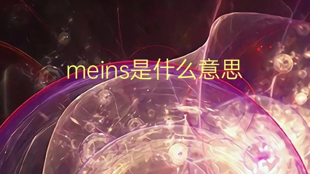 meins是什么意思 meins的翻译、读音、例句、中文解释