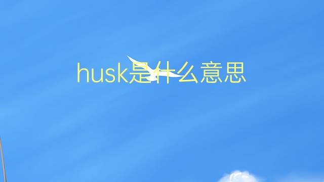 husk是什么意思 husk的翻译、读音、例句、中文解释