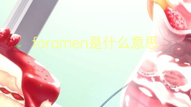 foramen是什么意思 foramen的翻译、读音、例句、中文解释