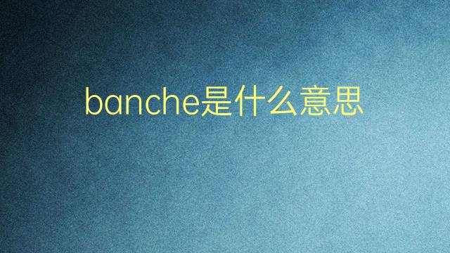 banche是什么意思 banche的翻译、读音、例句、中文解释