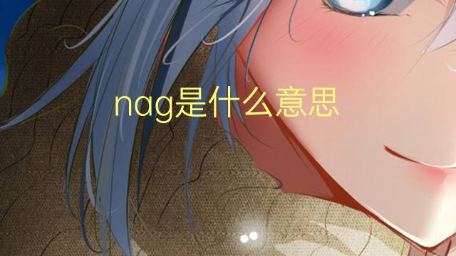 nag是什么意思 nag的翻译、读音、例句、中文解释