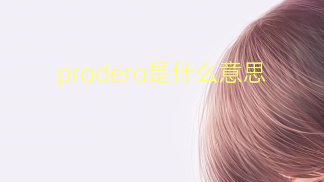 pradera是什么意思 pradera的翻译、读音、例句、中文解释