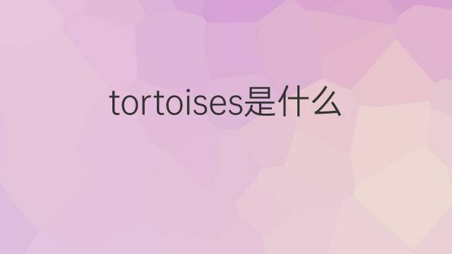 tortoises是什么意思 tortoises的翻译、读音、例句、中文解释