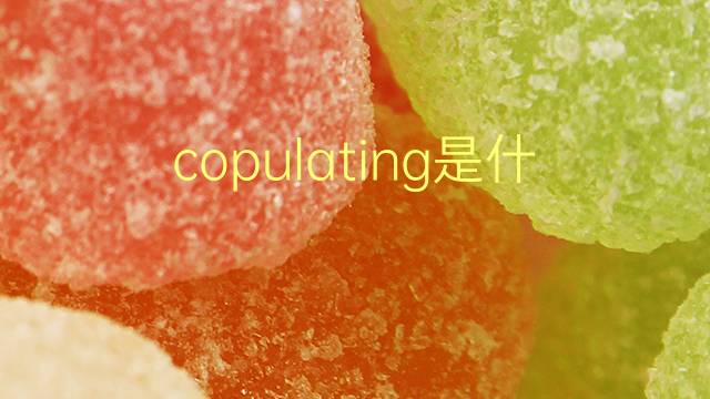 copulating是什么意思 copulating的翻译、读音、例句、中文解释