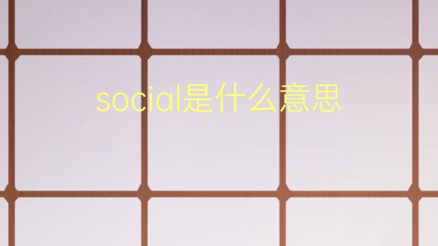 social是什么意思 social的翻译、读音、例句、中文解释