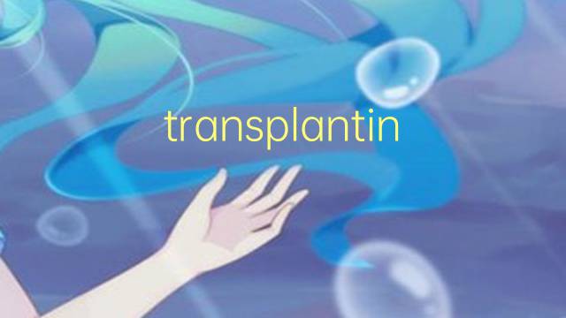 transplanting是什么意思 transplanting的翻译、读音、例句、中文解释