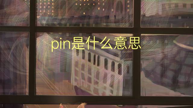 pin是什么意思 pin的翻译、读音、例句、中文解释