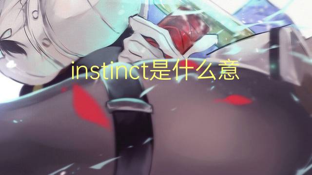 instinct是什么意思 instinct的翻译、读音、例句、中文解释