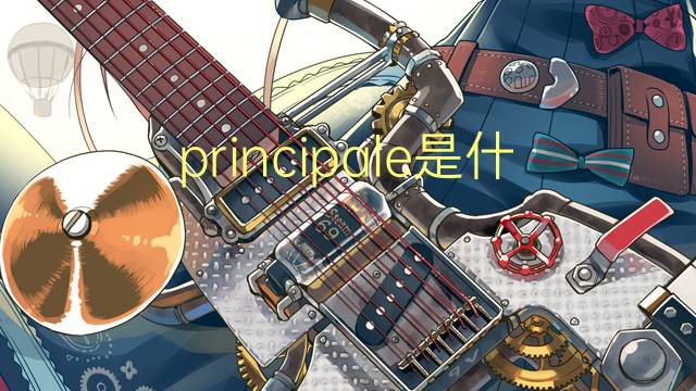 principale是什么意思 principale的翻译、读音、例句、中文解释