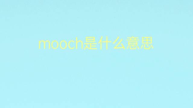 mooch是什么意思 mooch的翻译、读音、例句、中文解释