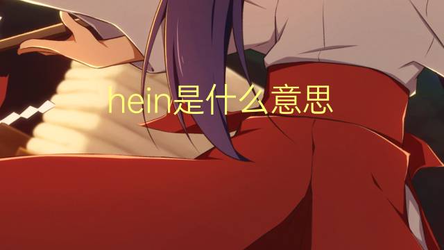 hein是什么意思 hein的翻译、读音、例句、中文解释