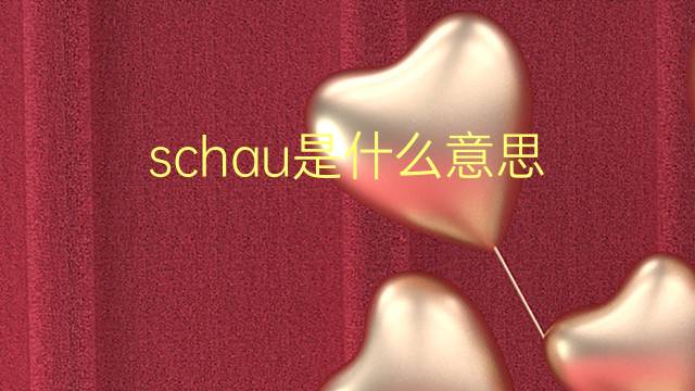 schau是什么意思 schau的翻译、读音、例句、中文解释