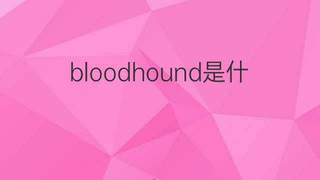 bloodhound是什么意思 bloodhound的翻译、读音、例句、中文解释