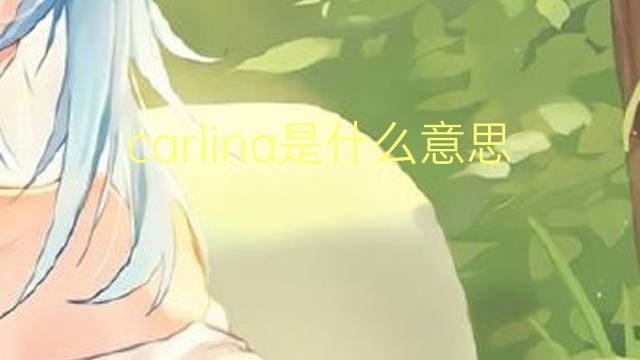 carlina是什么意思 英文名carlina的翻译、发音、来源