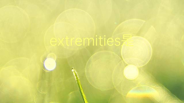 extremities是什么意思 extremities的翻译、读音、例句、中文解释