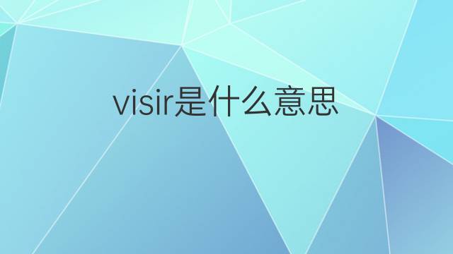 visir是什么意思 visir的翻译、读音、例句、中文解释