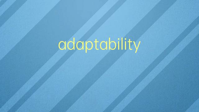 adaptability是什么意思 adaptability的翻译、读音、例句、中文解释