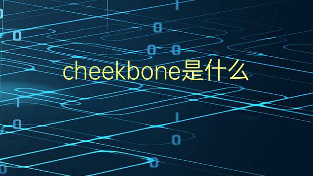 cheekbone是什么意思 cheekbone的翻译、读音、例句、中文解释