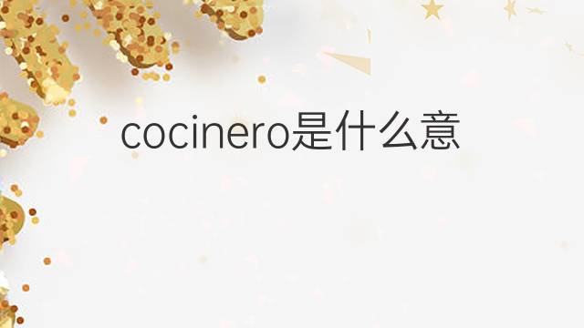 cocinero是什么意思 cocinero的翻译、读音、例句、中文解释