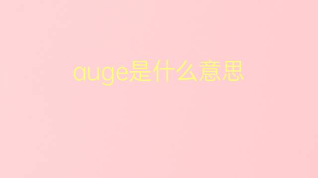 auge是什么意思 auge的翻译、读音、例句、中文解释