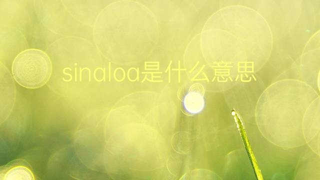 sinaloa是什么意思 sinaloa的翻译、读音、例句、中文解释