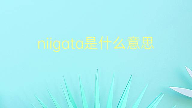 niigata是什么意思 niigata的翻译、读音、例句、中文解释