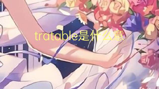 tratable是什么意思 tratable的翻译、读音、例句、中文解释