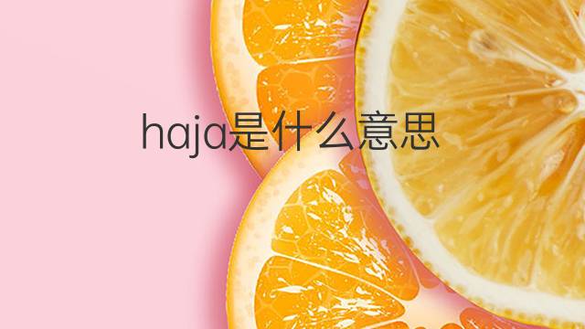 haja是什么意思 haja的翻译、读音、例句、中文解释