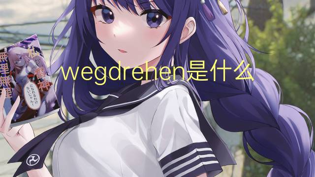 wegdrehen是什么意思 wegdrehen的翻译、读音、例句、中文解释