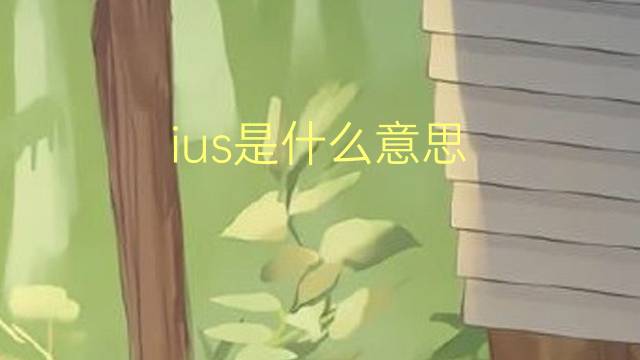 ius是什么意思 ius的翻译、读音、例句、中文解释