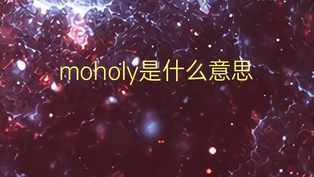 moholy是什么意思 moholy的翻译、读音、例句、中文解释