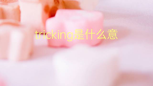 tricking是什么意思 tricking的翻译、读音、例句、中文解释