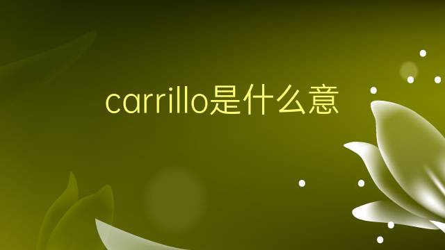 carrillo是什么意思 carrillo的翻译、读音、例句、中文解释