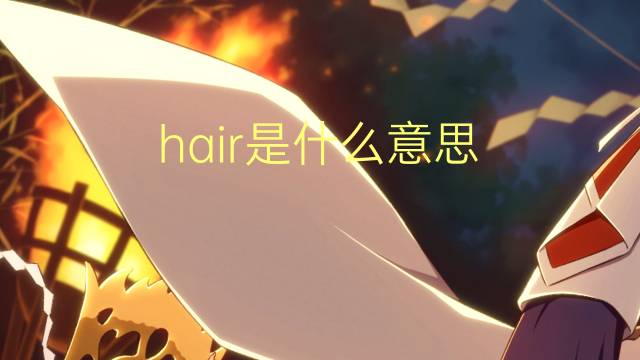 hair是什么意思 hair的翻译、读音、例句、中文解释