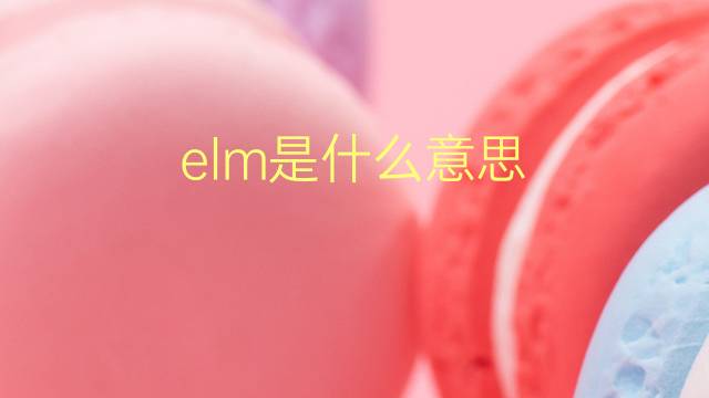 elm是什么意思 elm的翻译、读音、例句、中文解释