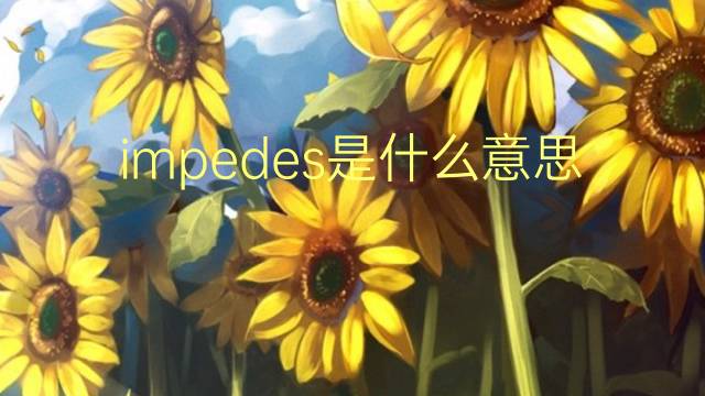 impedes是什么意思 impedes的翻译、读音、例句、中文解释