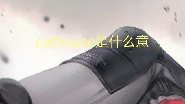 cathouse是什么意思 cathouse的翻译、读音、例句、中文解释