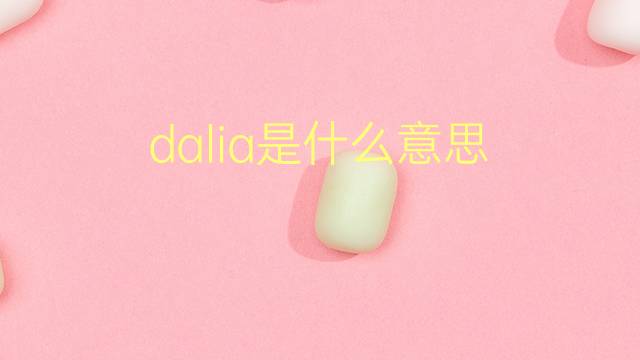 dalia是什么意思 dalia的翻译、读音、例句、中文解释