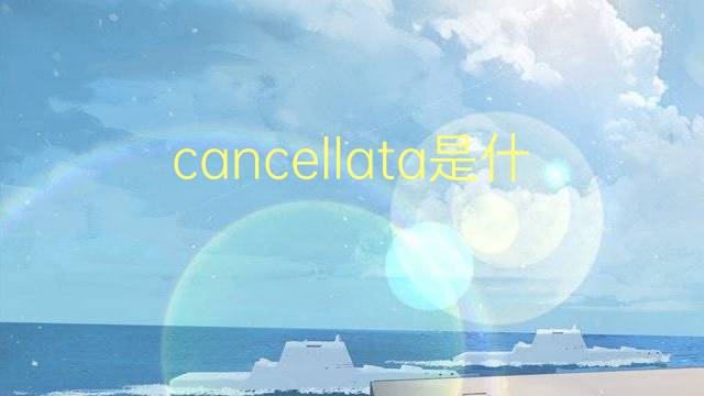 cancellata是什么意思 cancellata的翻译、读音、例句、中文解释