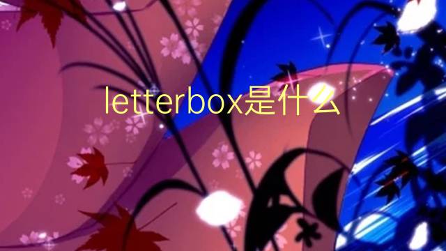 letterbox是什么意思 letterbox的翻译、读音、例句、中文解释