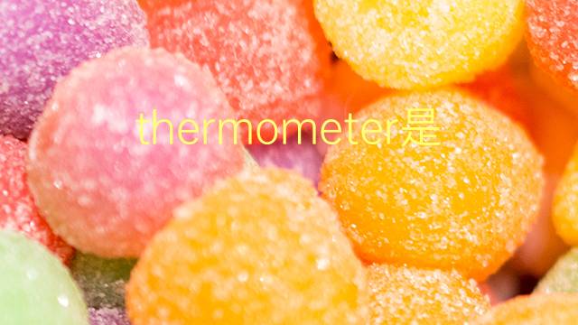 thermometer是什么意思 thermometer的翻译、读音、例句、中文解释