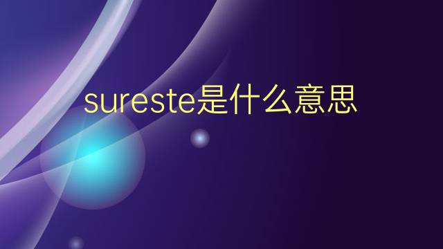 sureste是什么意思 sureste的翻译、读音、例句、中文解释