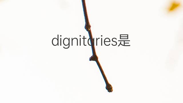 dignitaries是什么意思 dignitaries的翻译、读音、例句、中文解释