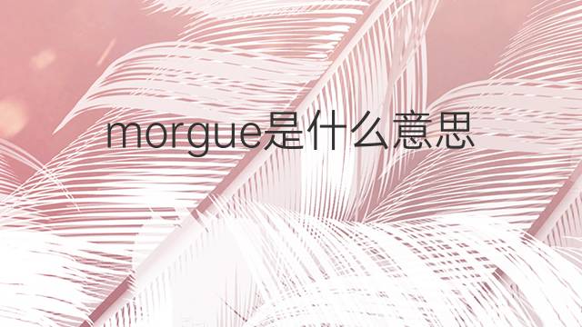 morgue是什么意思 morgue的翻译、读音、例句、中文解释