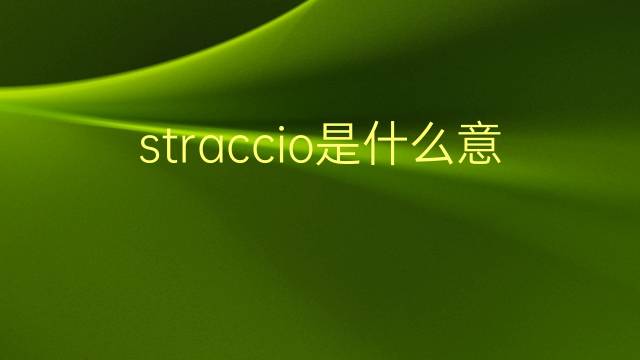 straccio是什么意思 straccio的翻译、读音、例句、中文解释