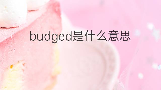 budged是什么意思 budged的翻译、读音、例句、中文解释