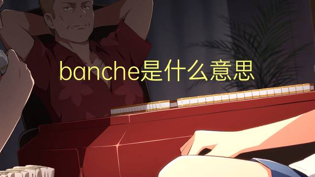 banche是什么意思 banche的翻译、读音、例句、中文解释